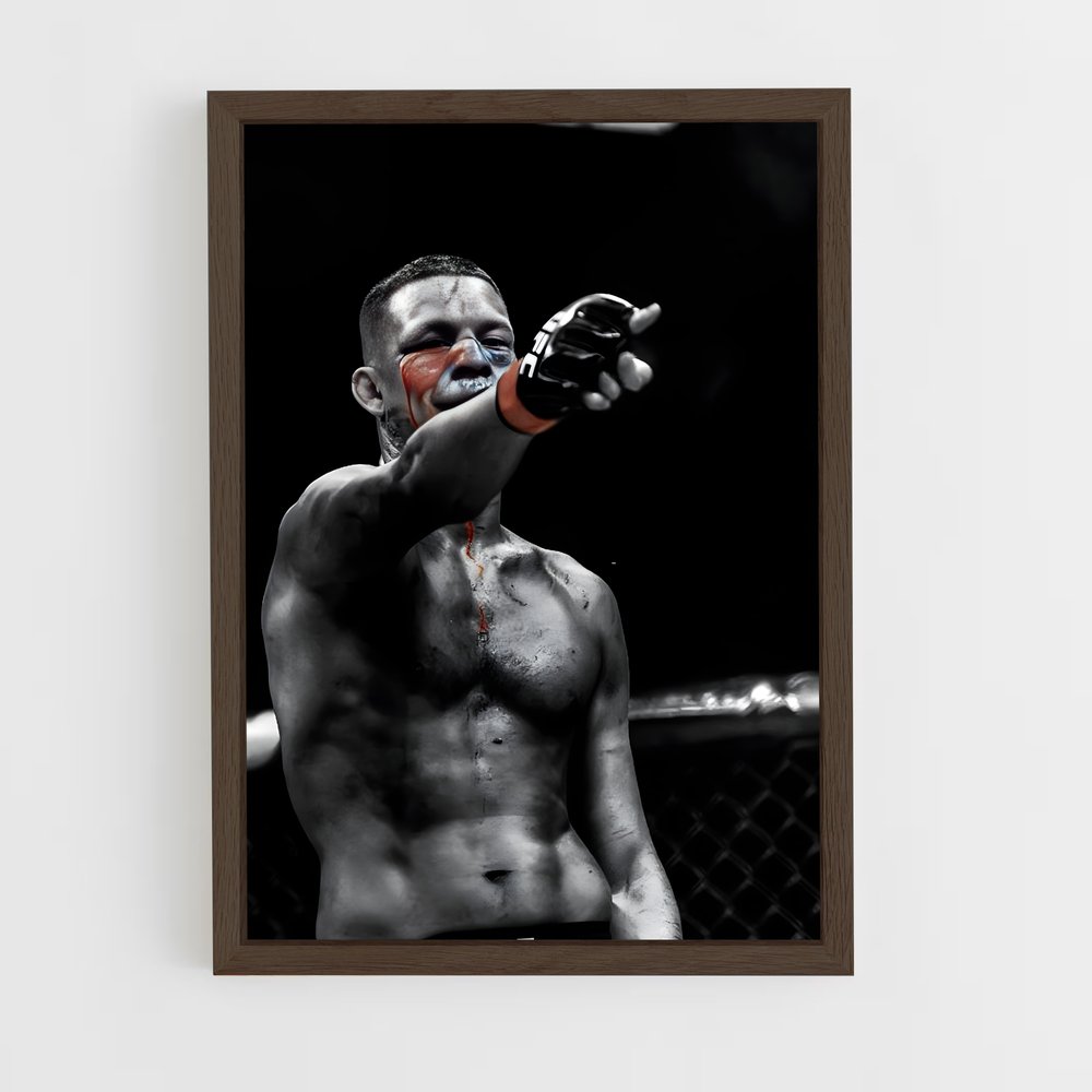 Poster Nate Diaz: Fight or Flight – affiche MMA (vue 5)
